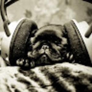 Meet your Posher, Hector